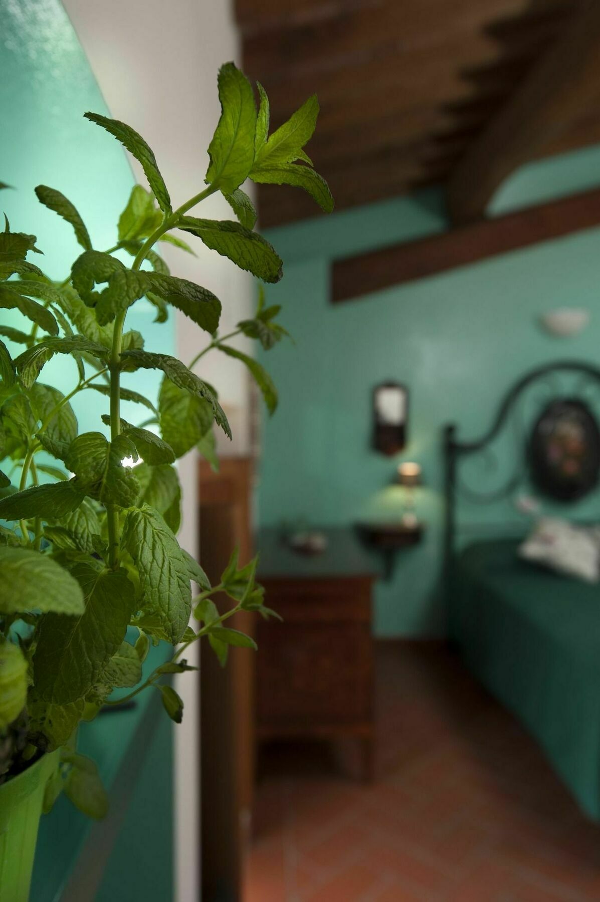 Antico Granaione Bed & Breakfast Rapolano Terme Dış mekan fotoğraf