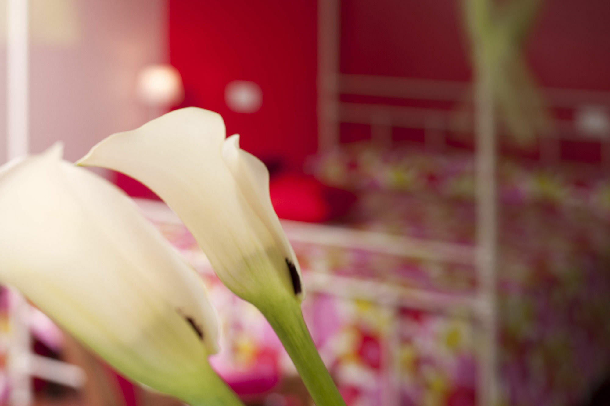 Antico Granaione Bed & Breakfast Rapolano Terme Dış mekan fotoğraf